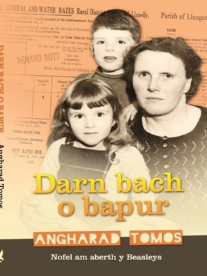 cover image of Darn Bach o Bapur